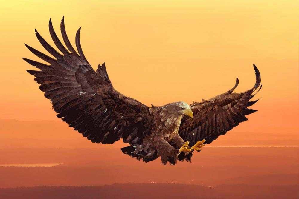 Falcon Flying in the Sky Artwork - Majestic Symbol of UAE | Buy Online