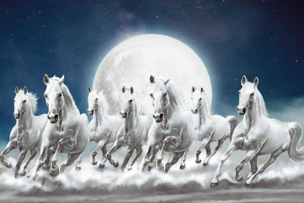 Buy White Running Horses in Moon Light Art - High Quality Prints