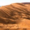 Beautiful Desert Landscape