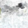 Abstract 17