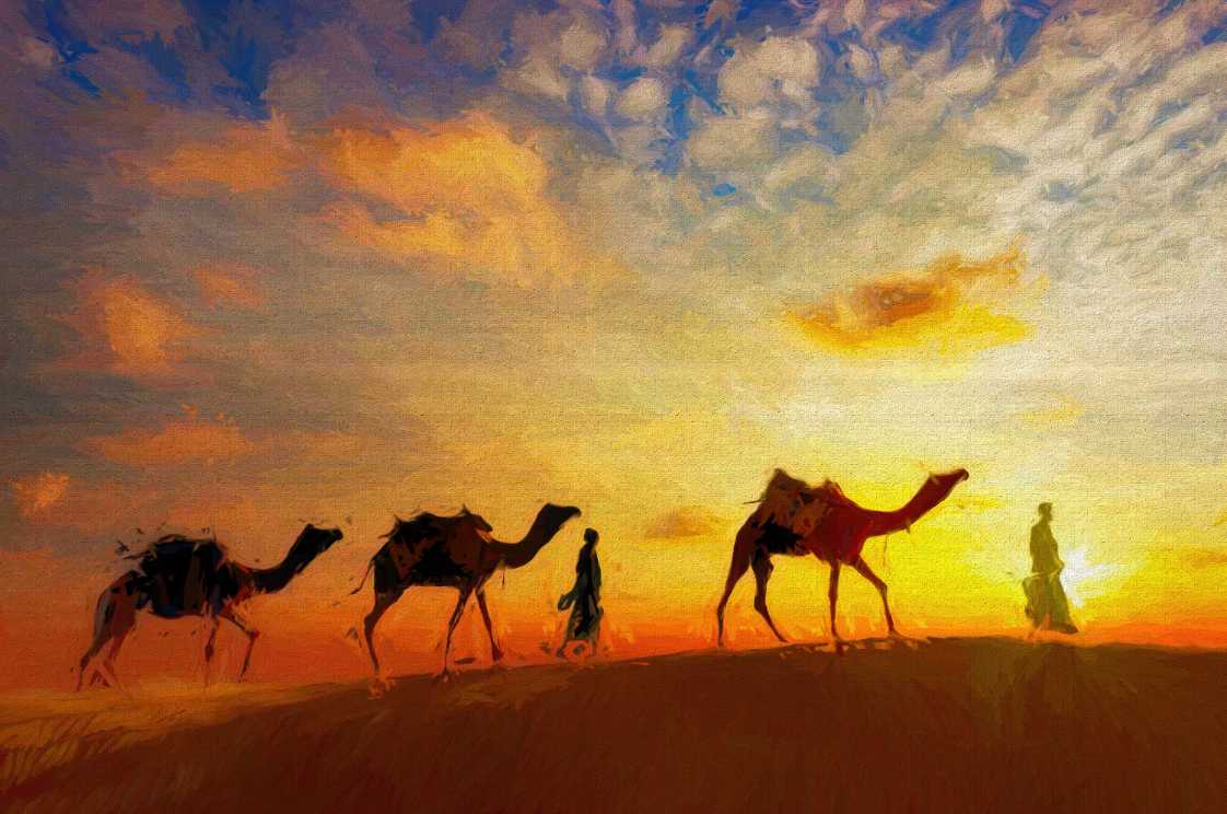 Camel Ride Sunset