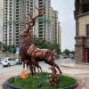 Deer