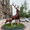 Deer