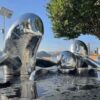 Dolphins