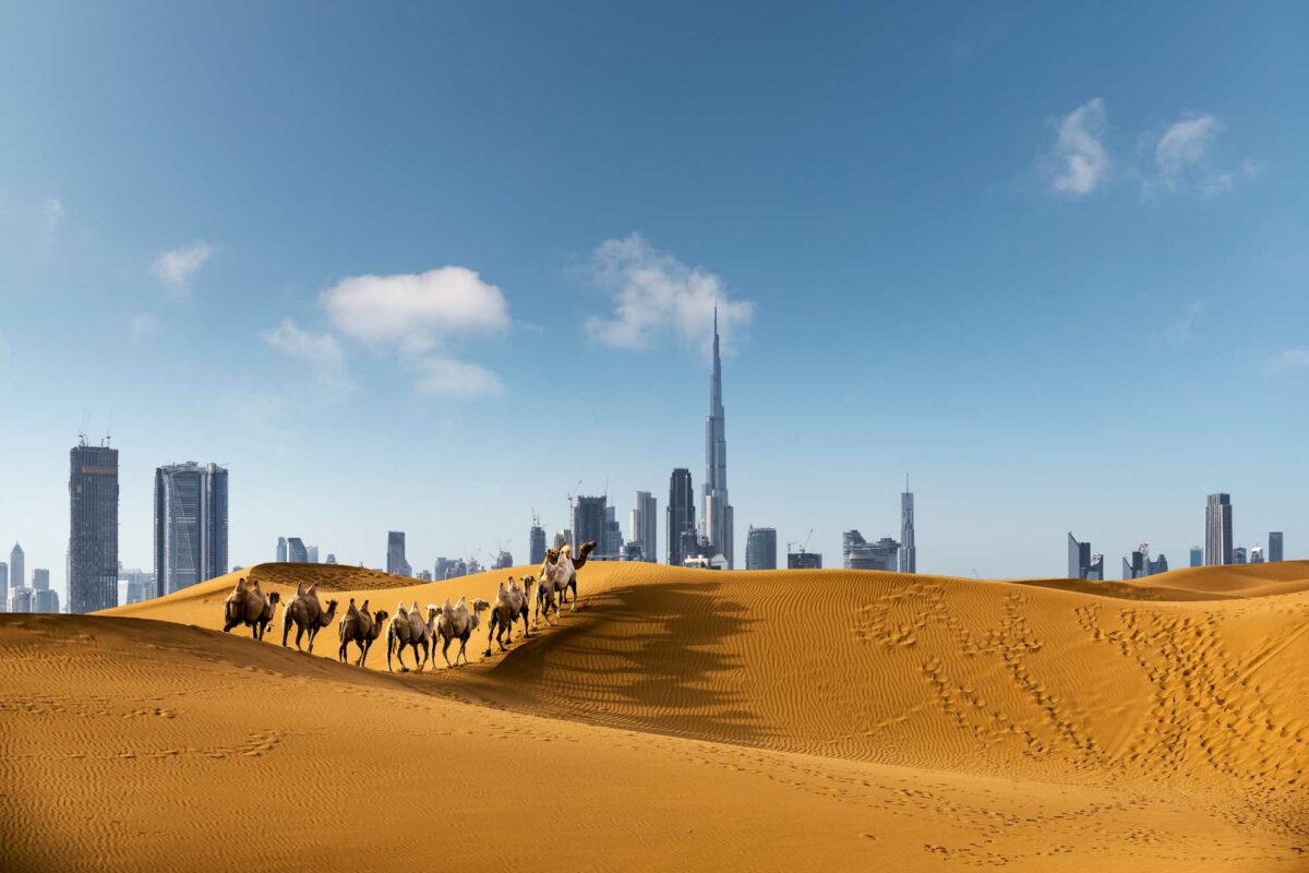 Dubai City Desert