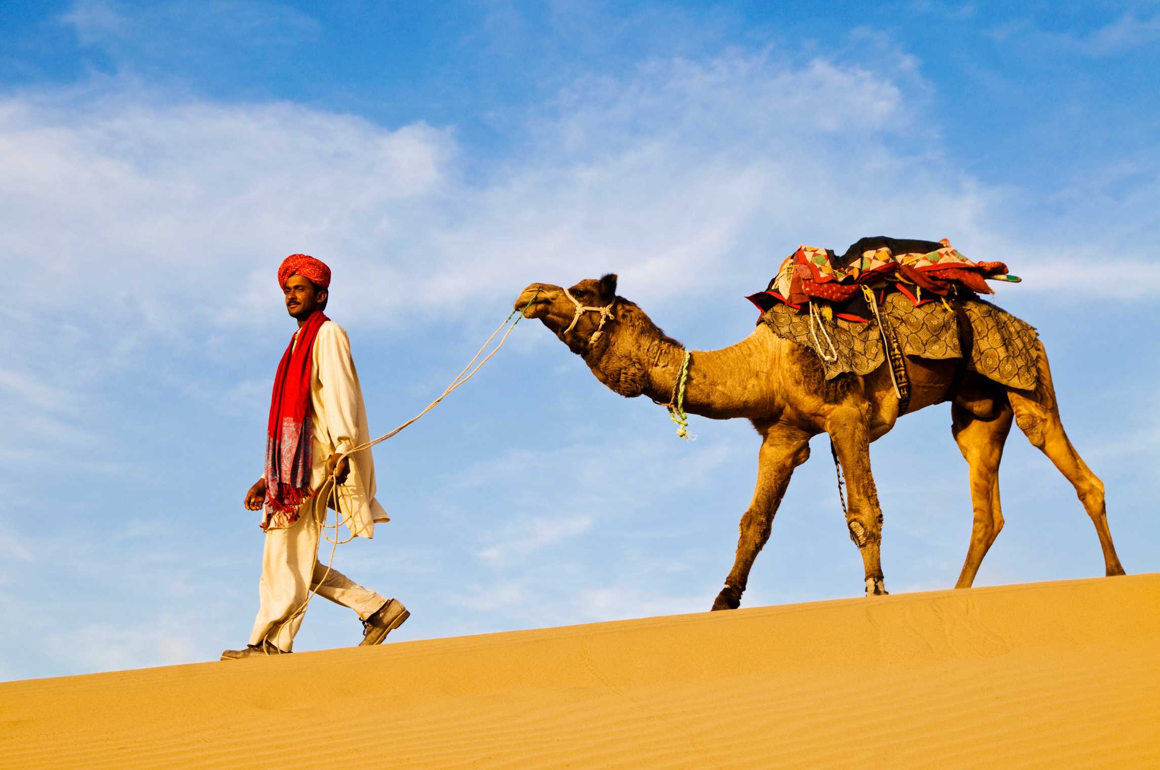 Man Walking with Camel In Desert