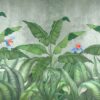 Parrots in Jungle