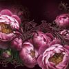 Peonies