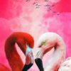Red White Swan