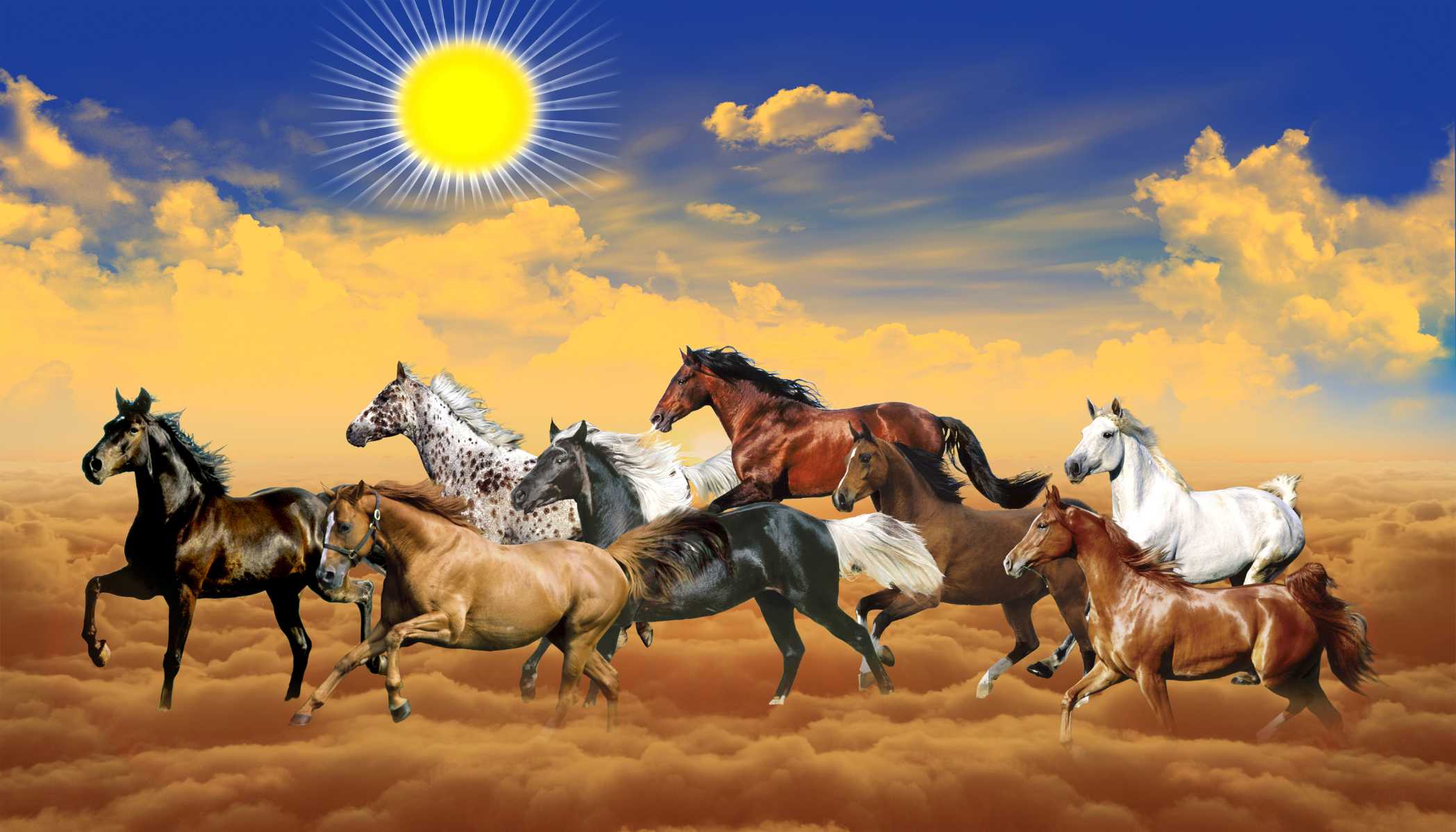 Running Horses Wallpaper Print