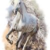 Running White Horse