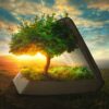 Tree Inside Book