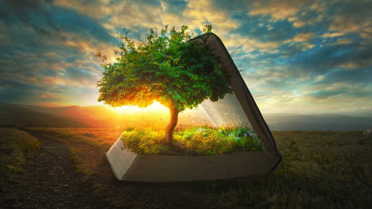 Tree Inside Book