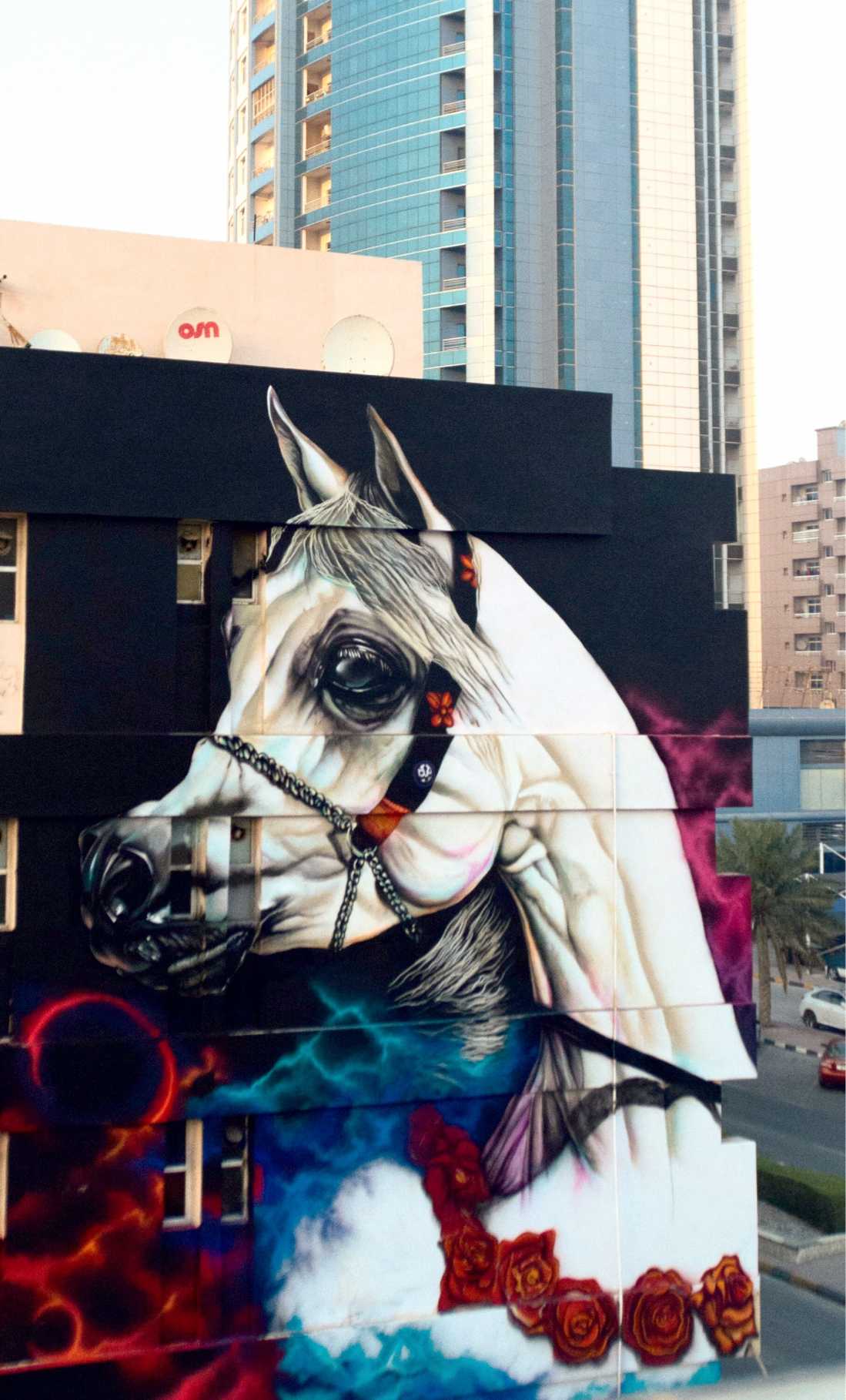 White horse Outdoor - Graffiti wall art