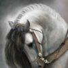 White Horse