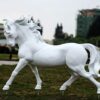 White Horse