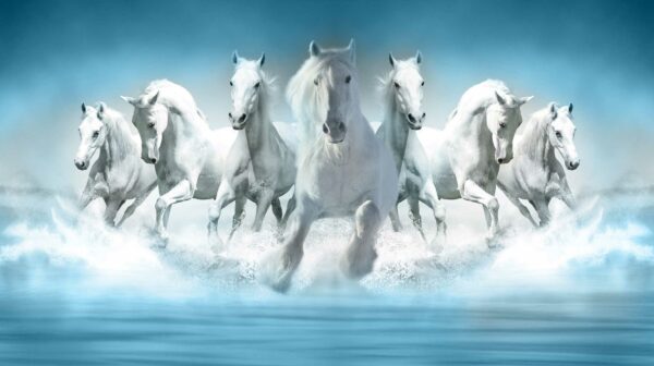 White Horses