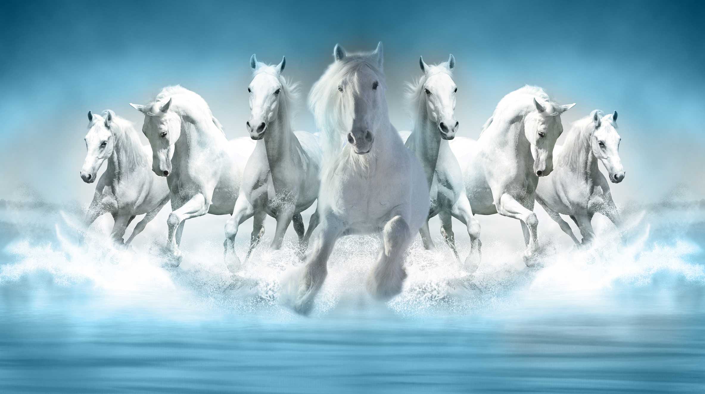 White Horses Wallpaper Print