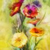 Yellow and Red Color Flower