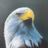 Falcon 1