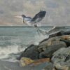 Great Blue Heron at Sand Key