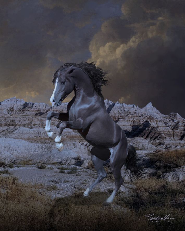 Horse of the Badlands