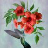 Hummingbird