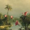 Spoonbills in the Mist