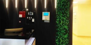Embracing Nature: Art Smiley’s Natarajan Wallpaper Delights Super General Service Center in Sajja, Sharjah