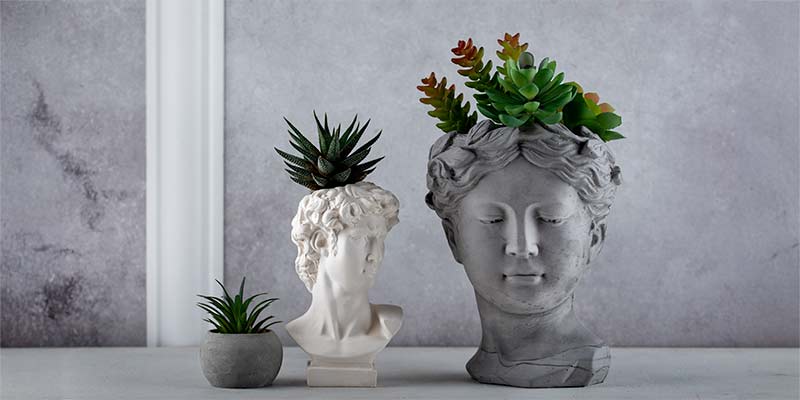 Indoor-Plants-and-Sculptures-800x400px