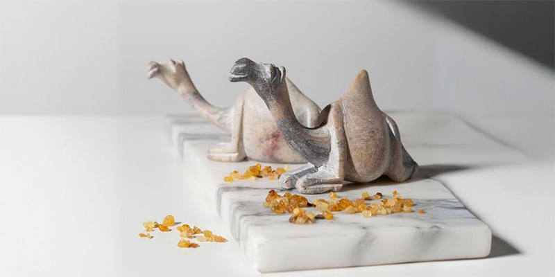 camel-figurines-with-raisins-800x400px-artsmiley